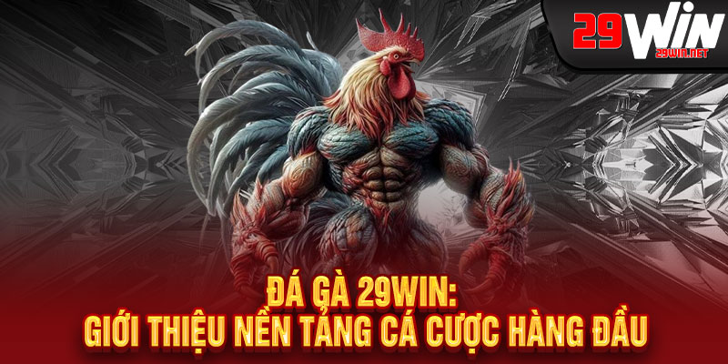 Đá Gà 29WIN: Giới thiệu nền tảng cá cược hàng đầu